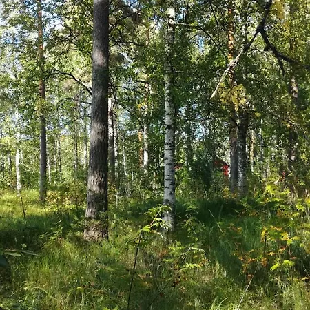 K-Vizit Miehikkaelae Kalliokoski