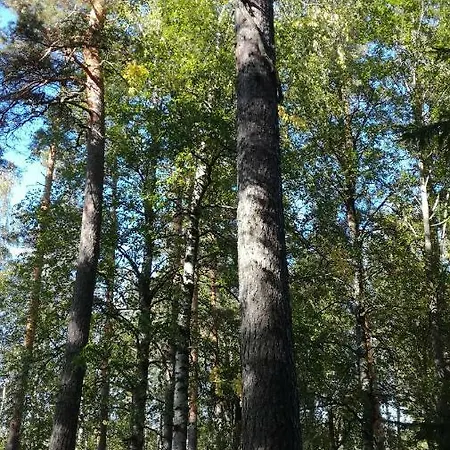 K-Vizit Miehikkaelae Huoneisto Kalliokoski